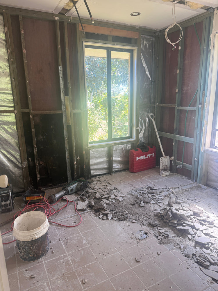 The Bathroom Reno